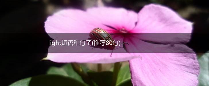 light短语和句子(推荐80句),第1张