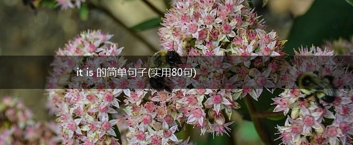 it is 的简单句子(实用80句),第1张