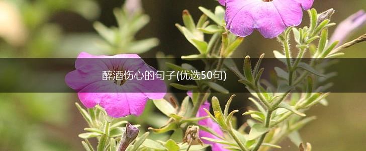 醉酒伤心的句子(优选50句),第1张