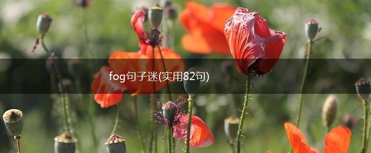 fog句子迷(实用82句),第1张