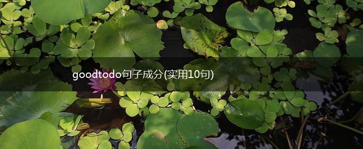 goodtodo句子成分(实用10句),第1张