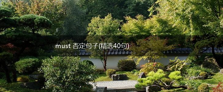 must 否定句子(精选40句),第1张