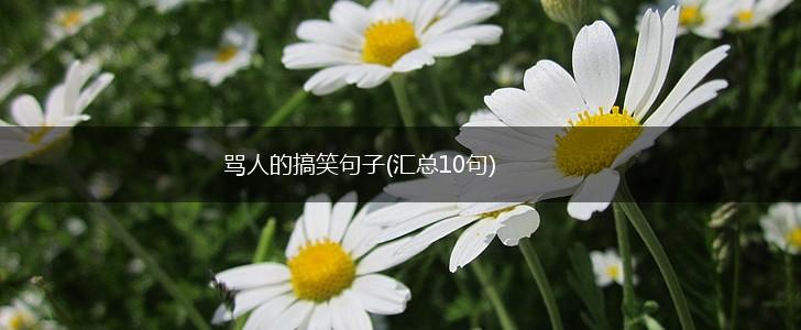 骂人的搞笑句子(汇总10句),第1张