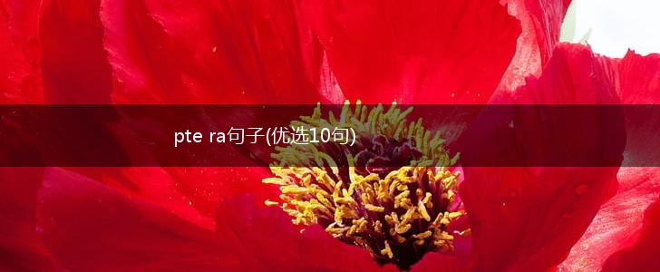 pte ra句子(优选10句),第1张