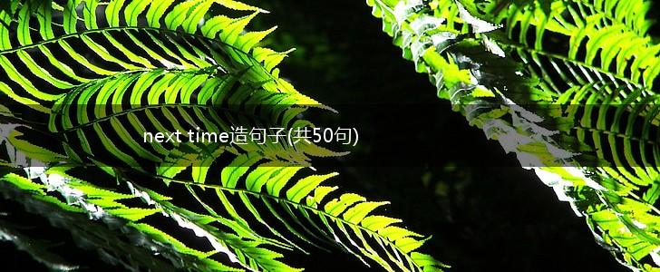 next time造句子(共50句),第1张