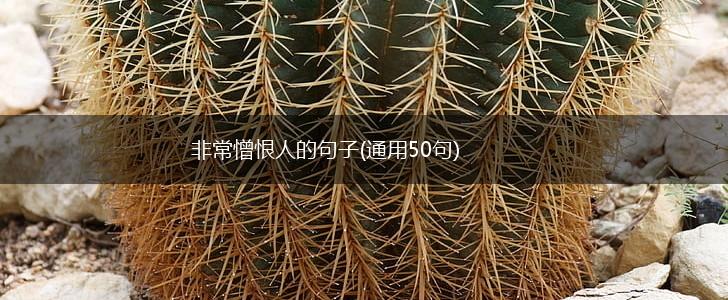 非常憎恨人的句子(通用50句),第1张