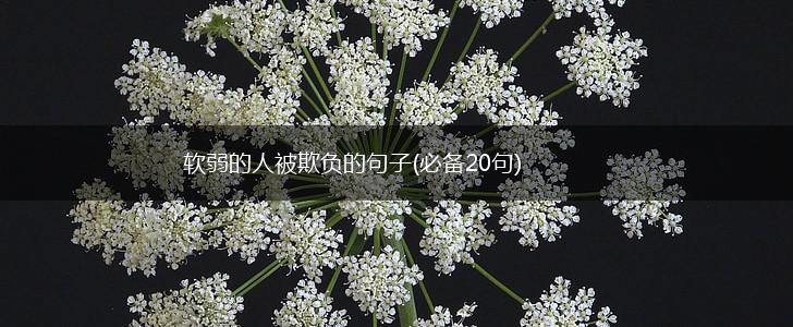 软弱的人被欺负的句子(必备20句),第1张