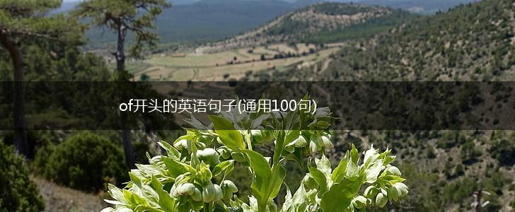 of开头的英语句子(通用100句),第1张
