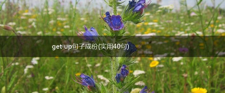 get up句子成份(实用40句),第1张