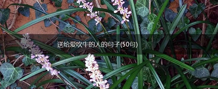 送给爱吹牛的人的句子(50句),第1张