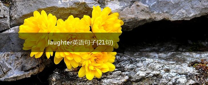 laughter英语句子(21句),第1张