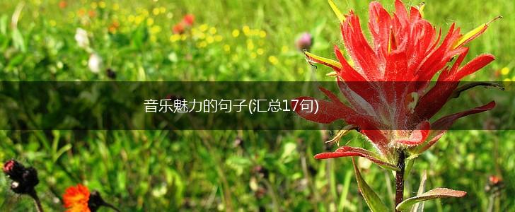 音乐魅力的句子(汇总17句),第1张