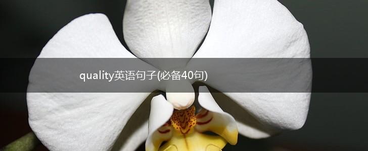quality英语句子(必备40句),第1张