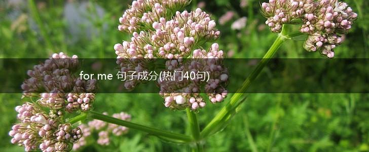 for me 句子成分(热门40句),第1张