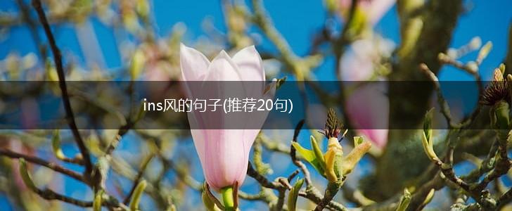 ins风的句子(推荐20句),第1张