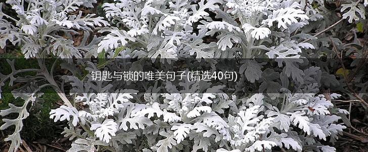 钥匙与锁的唯美句子(精选40句),第1张