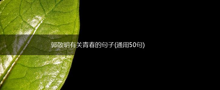 郭敬明有关青春的句子(通用50句),第1张