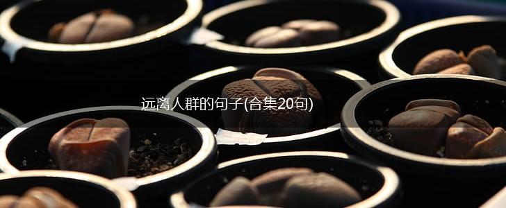 远离人群的句子(合集20句),第1张