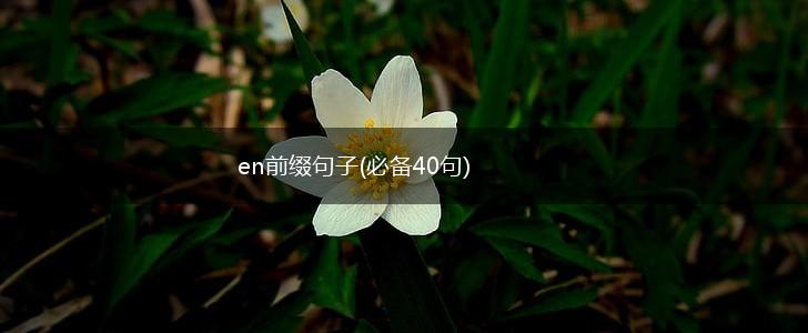 en前缀句子(必备40句),第1张