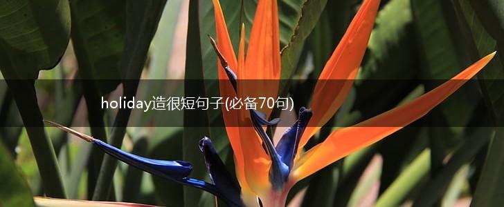 holiday造很短句子(必备70句),第1张