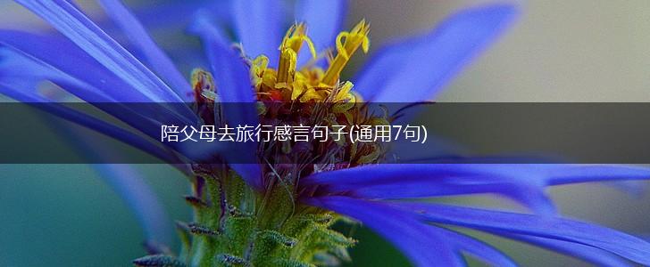 陪父母去旅行感言句子(通用7句),第1张