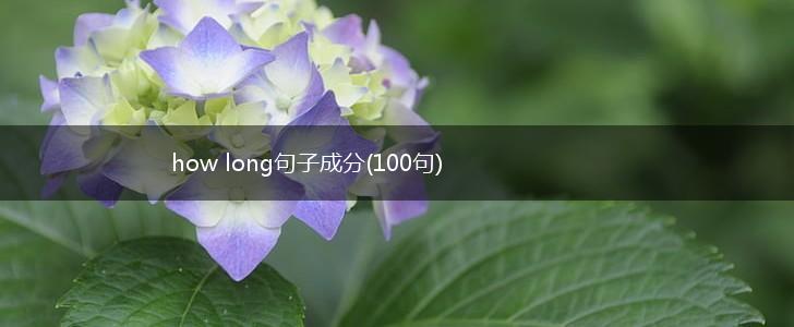 how long句子成分(100句),第1张