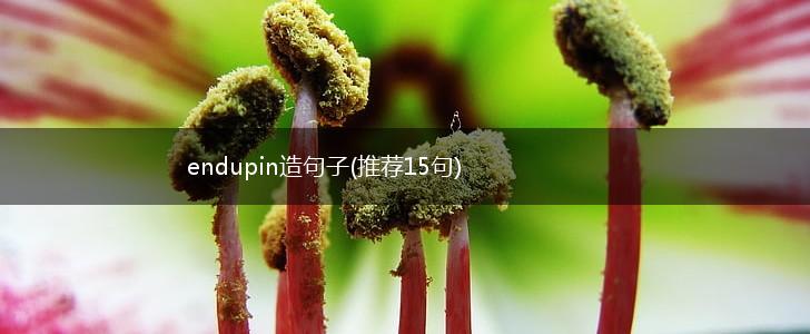 endupin造句子(推荐15句),第1张