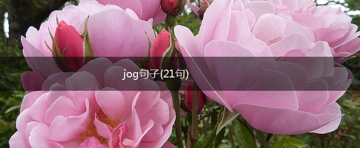 jog句子(21句),第1张