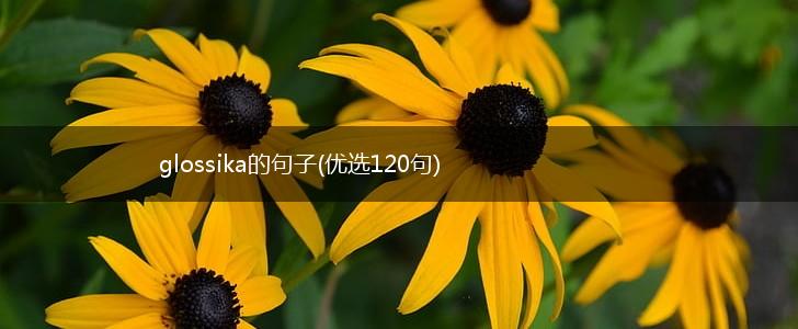 glossika的句子(优选120句),第1张