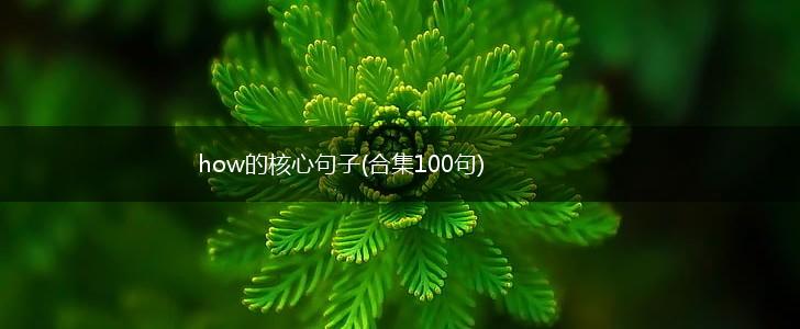 how的核心句子(合集100句),第1张