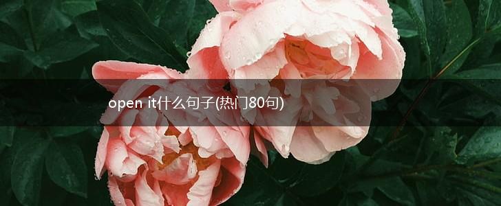 open it什么句子(热门80句),第1张