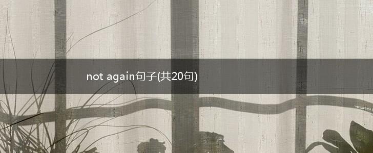 not again句子(共20句),第1张