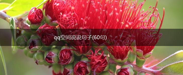qq空间说说句子(60句),第1张