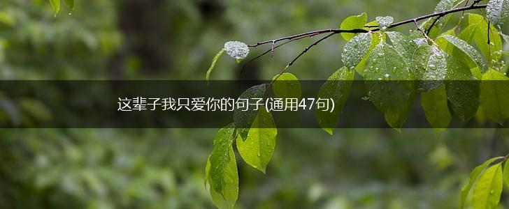 这辈子我只爱你的句子(通用47句),第1张