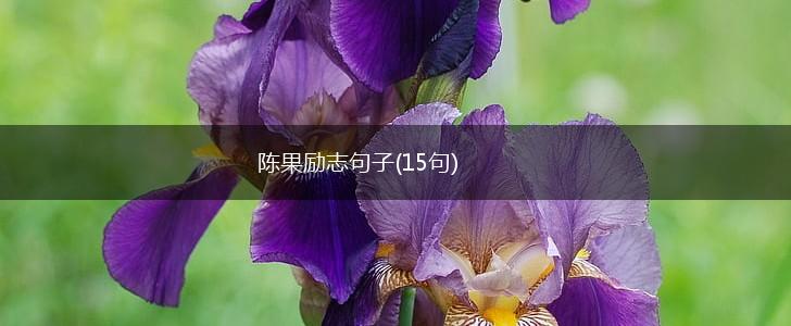 陈果励志句子(15句),第1张