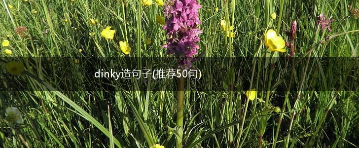 dinky造句子(推荐50句),第1张