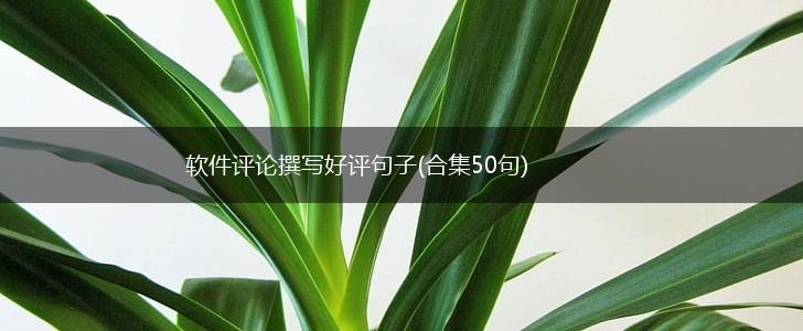 软件评论撰写好评句子(合集50句),第1张