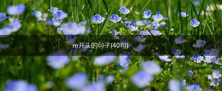 m开头的句子(40句),第1张