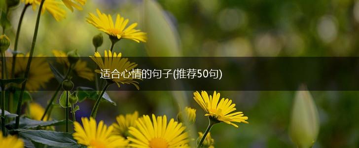 适合心情的句子(推荐50句),第1张