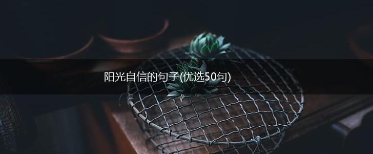 阳光自信的句子(优选50句),第1张