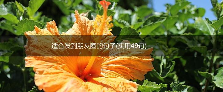 适合发到朋友圈的句子(实用49句),第1张