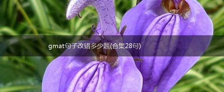 gmat句子改错多少题(合集28句),第1张