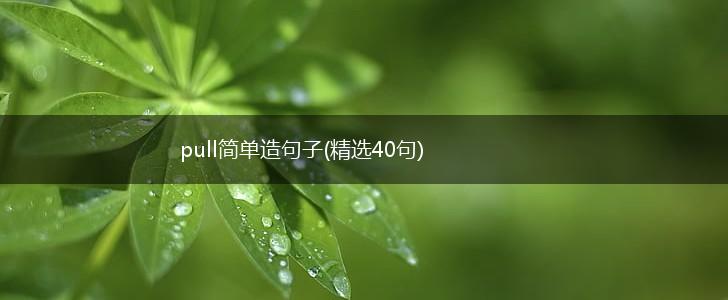 pull简单造句子(精选40句),第1张