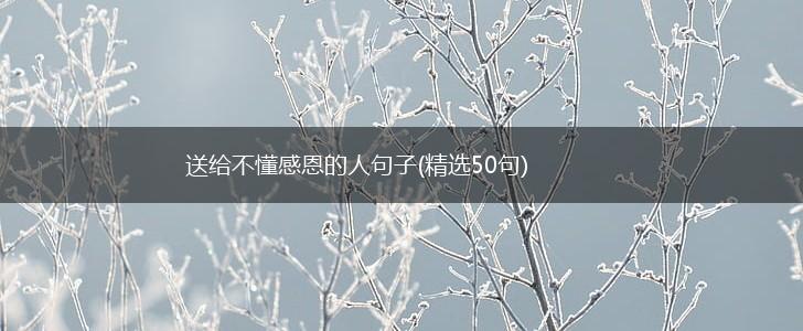 送给不懂感恩的人句子(精选50句),第1张