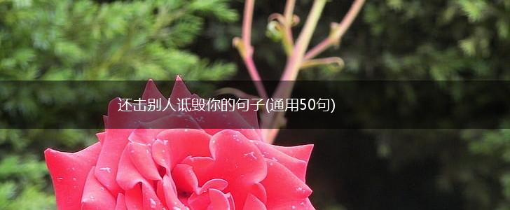 还击别人诋毁你的句子(通用50句),第1张