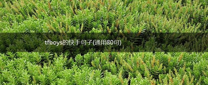 tfboys的快手句子(通用80句),第1张