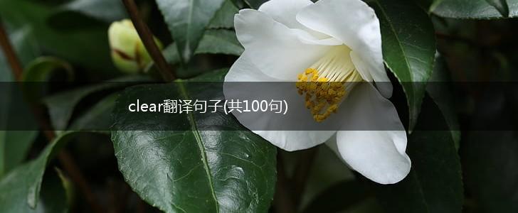clear翻译句子(共100句),第1张