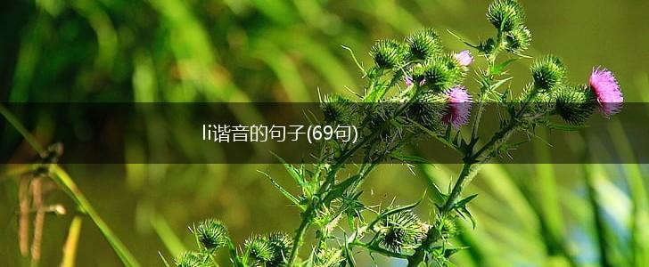 li谐音的句子(69句),第1张