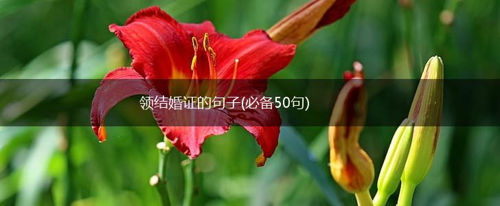 领结婚证的句子(必备50句),第1张