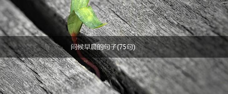 问候早晨的句子(75句),第1张